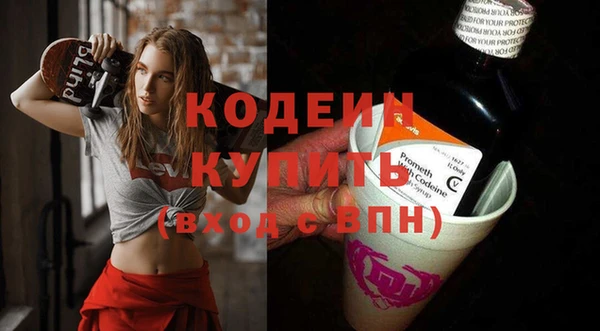 прущие грибы Бородино