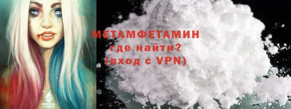 прущие грибы Бородино