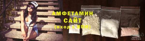 прущие грибы Бородино