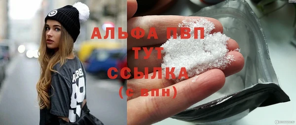 прущие грибы Бородино