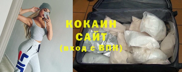 прущие грибы Бородино