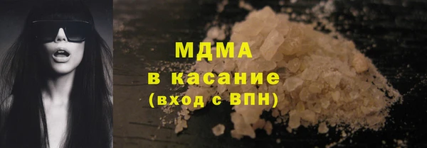 прущие грибы Бородино