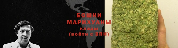 прущие грибы Бородино
