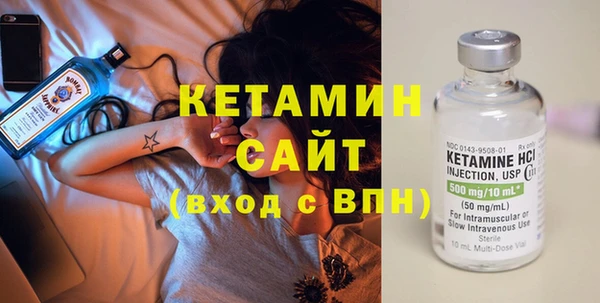 прущие грибы Бородино