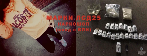 прущие грибы Бородино