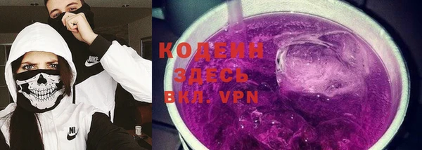 прущие грибы Бородино